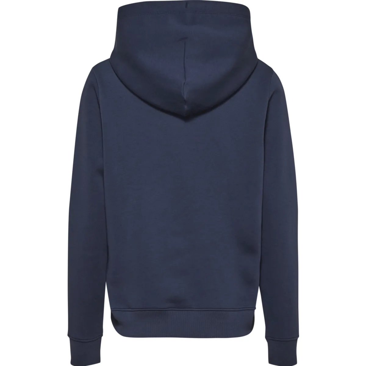 Reg Serif Linear Hoodie