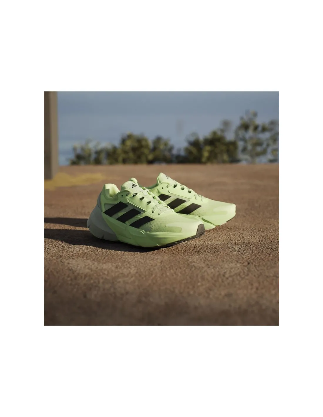Zapatillas de running adidas Adistar 2 Hombre Verde