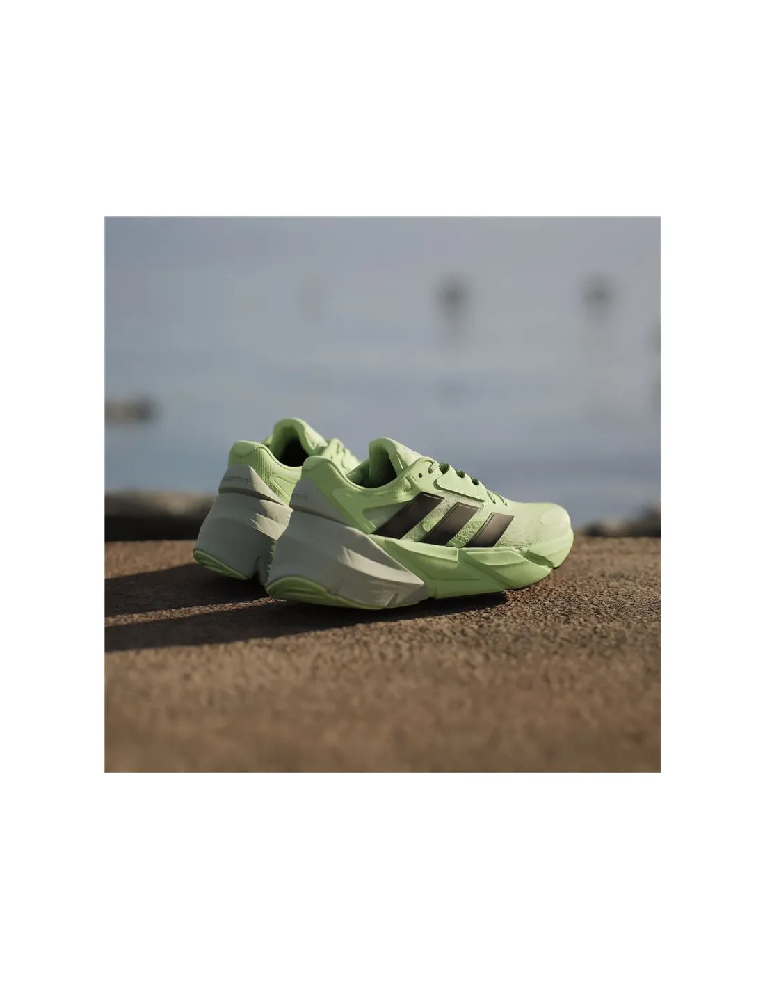 Zapatillas de running adidas Adistar 2 Hombre Verde