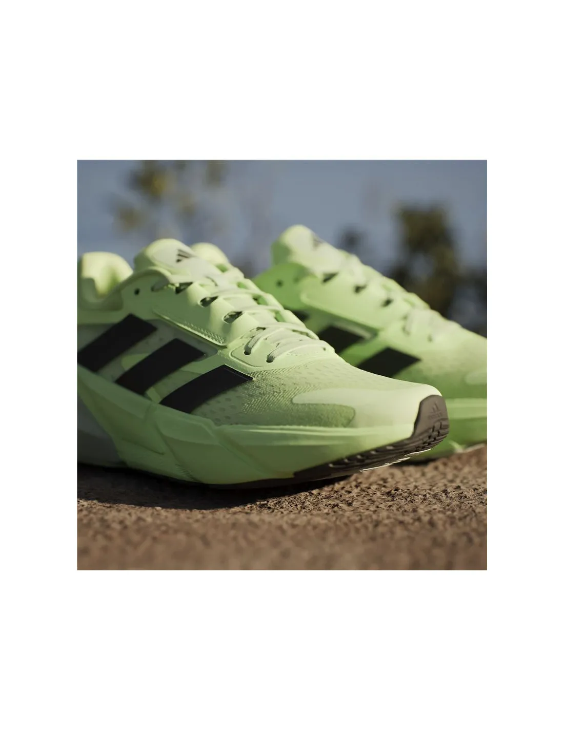 Zapatillas de running adidas Adistar 2 Hombre Verde